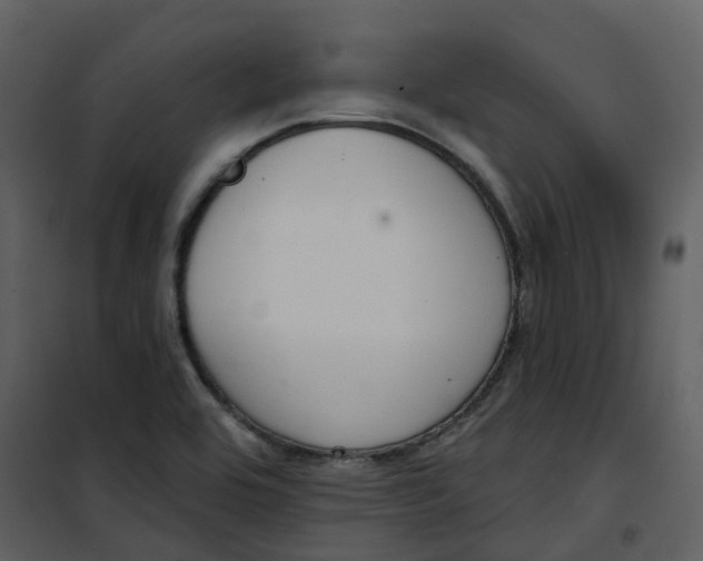 X0000101201464200807181523