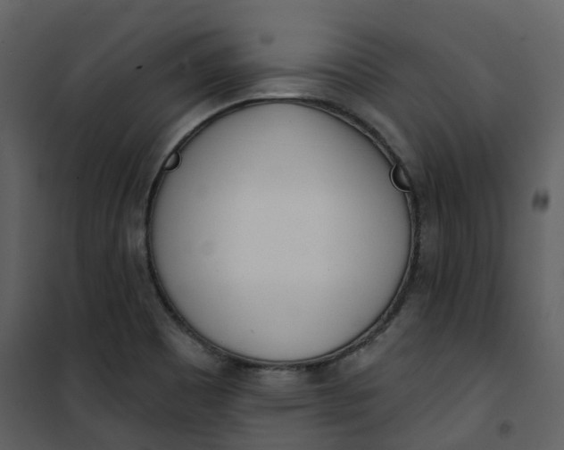 X0000101201465200807181523