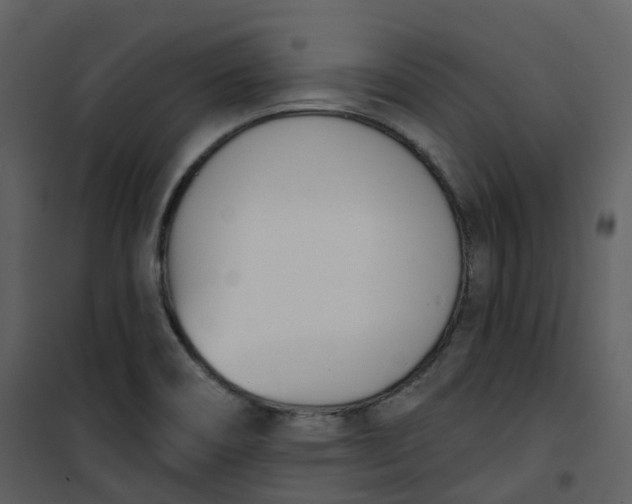 X0000101201466200807181523