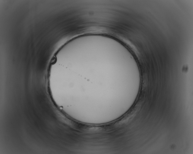 X0000101201467200807181523