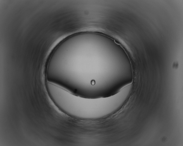 X0000101201468200807181523