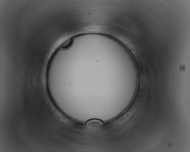 X0000101201469200807181523