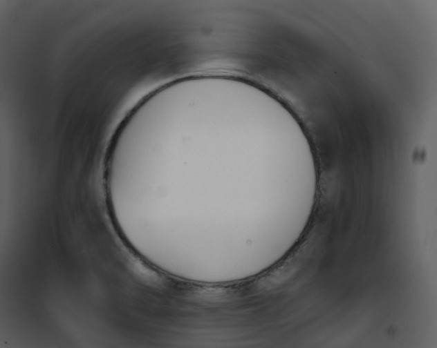 X0000101201470200807181523