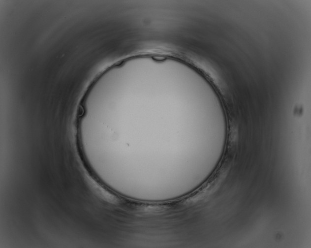 X0000101201471200807181523