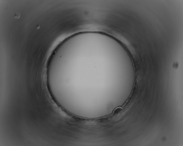 X0000101201472200807181523