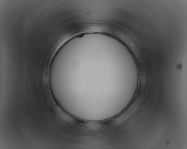 X0000101201473200807181523