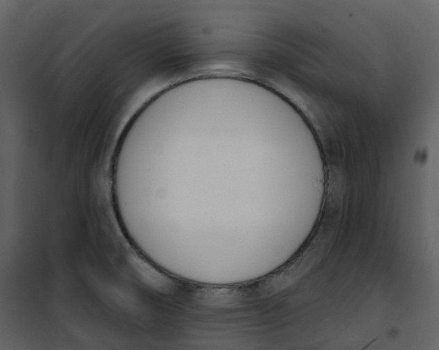 X0000101201474200807181523