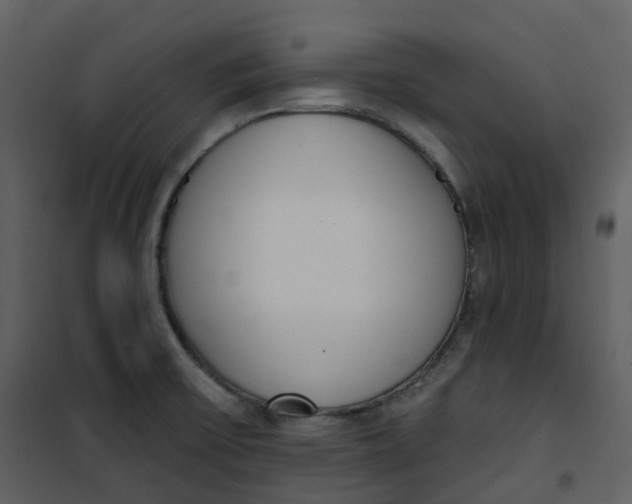 X0000101201475200807181523