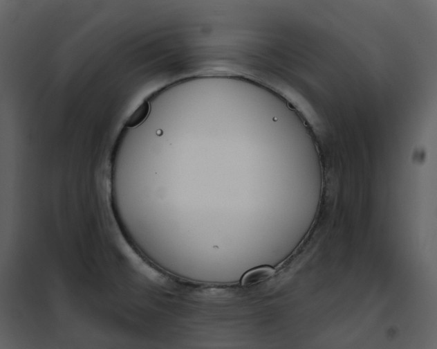 X0000101201476200807181523