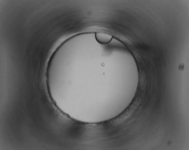 X0000101201478200807181523