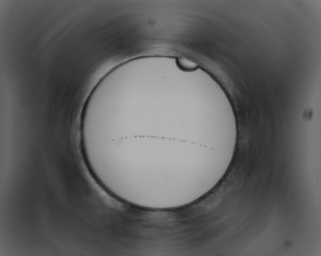 X0000101201479200807181523