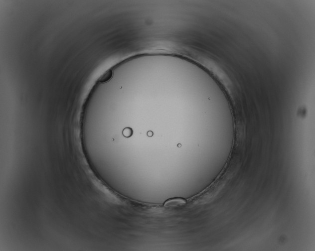 X0000101201480200807181523