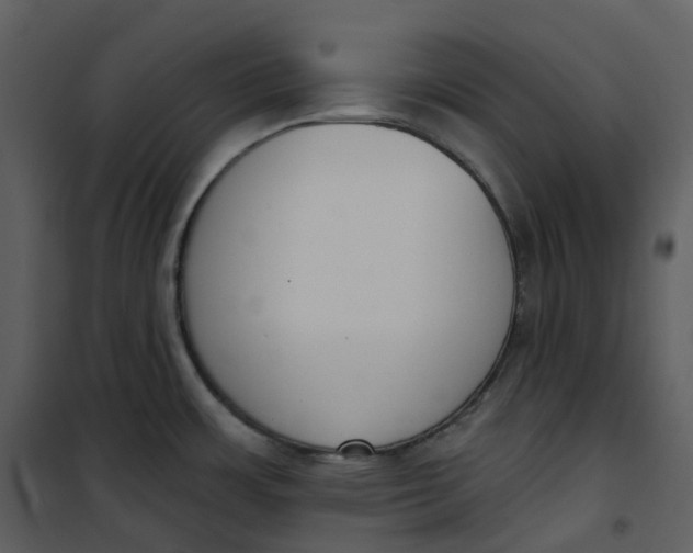 X0000101201483200807181523