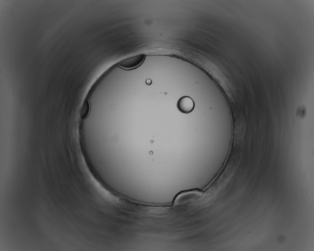 X0000101201484200807181523