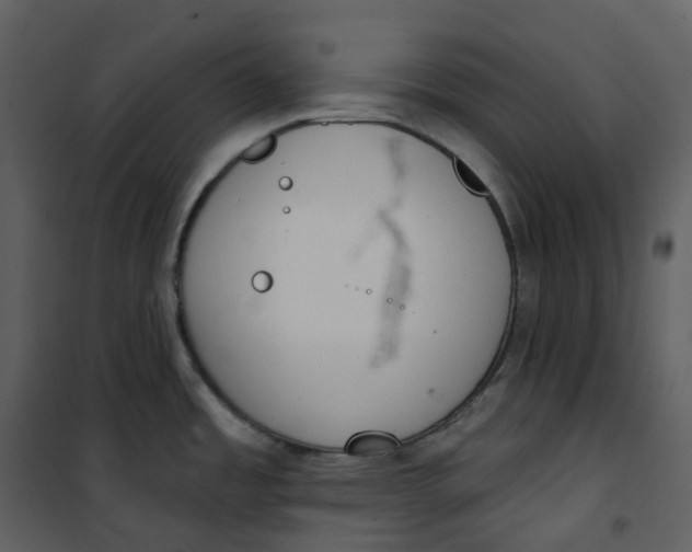 X0000101201485200807181523