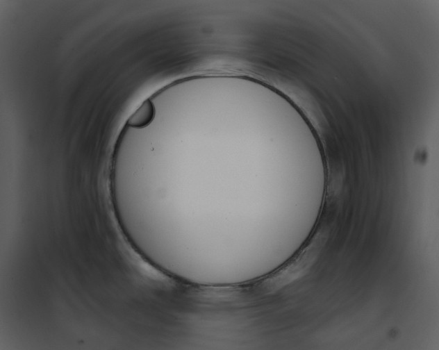 X0000101201486200807181523