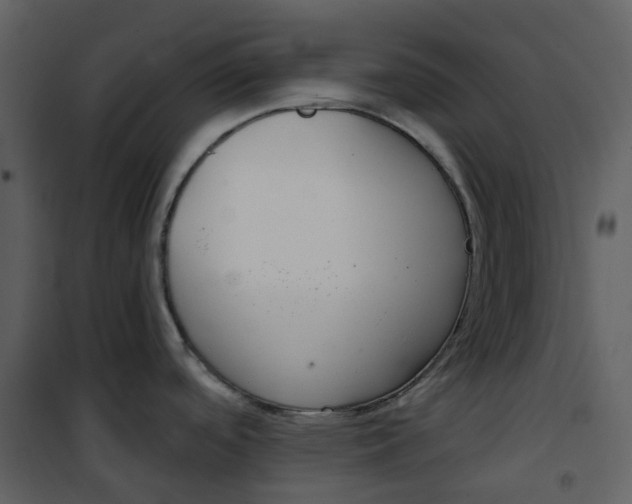 X0000101201488200807181523