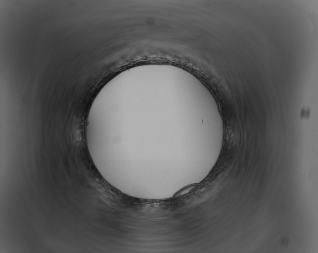 X0000101201490200807181522