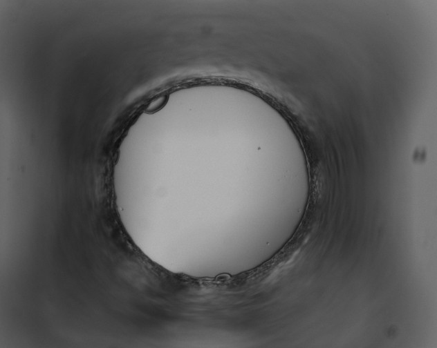 X0000101201494200807181522