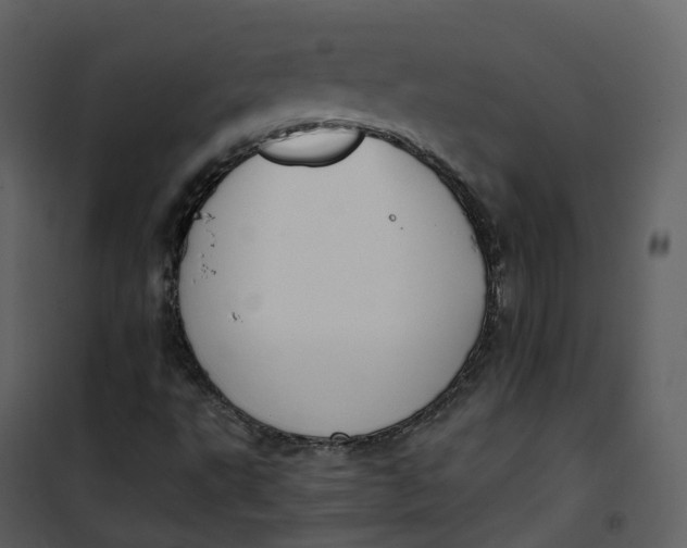 X0000101201495200807181522