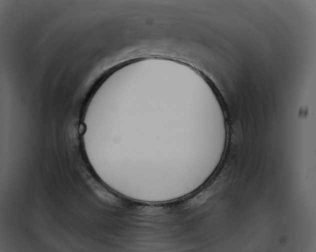 X0000101201499200807181522