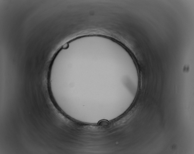 X0000101201500200807181522