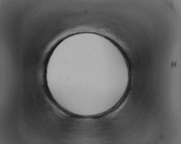 X0000101201502200807181522