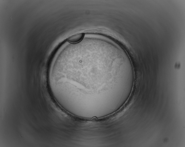 X0000101201506200807181522