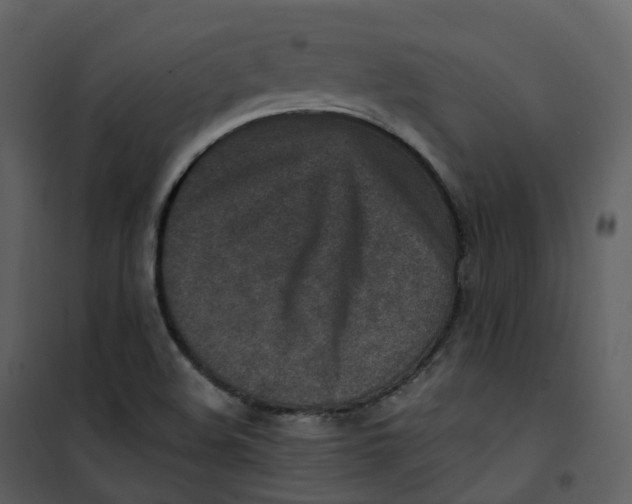 X0000101201508200807181522