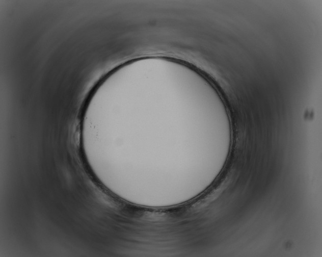 X0000101201509200807181522