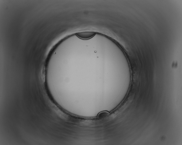 X0000101201510200807181522