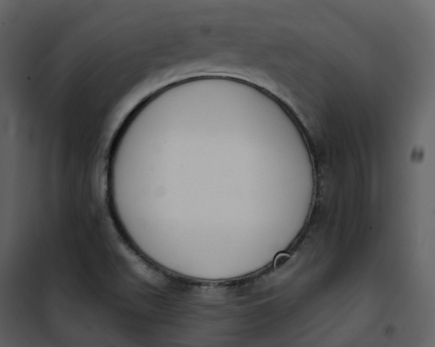 X0000101201511200807181522