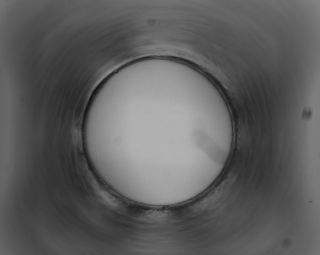 X0000101201513200807181522