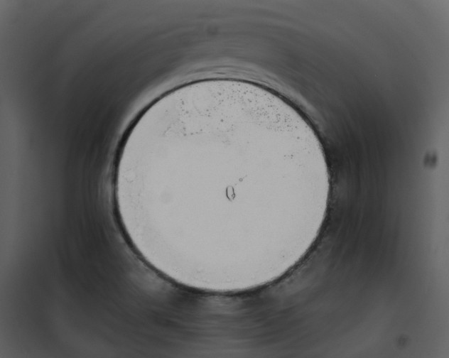 X0000101201514200807181522