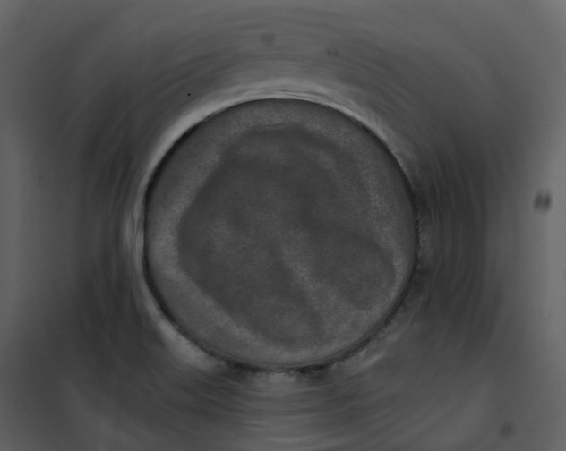 X0000101201515200807181522