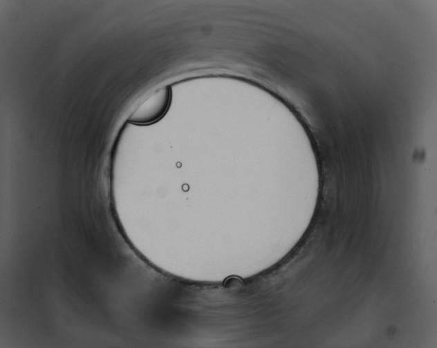 X0000101201516200807181522