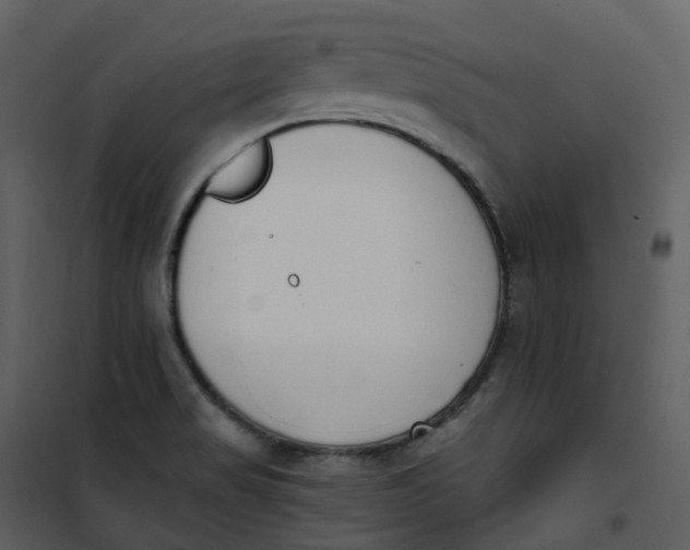 X0000101201517200807181522