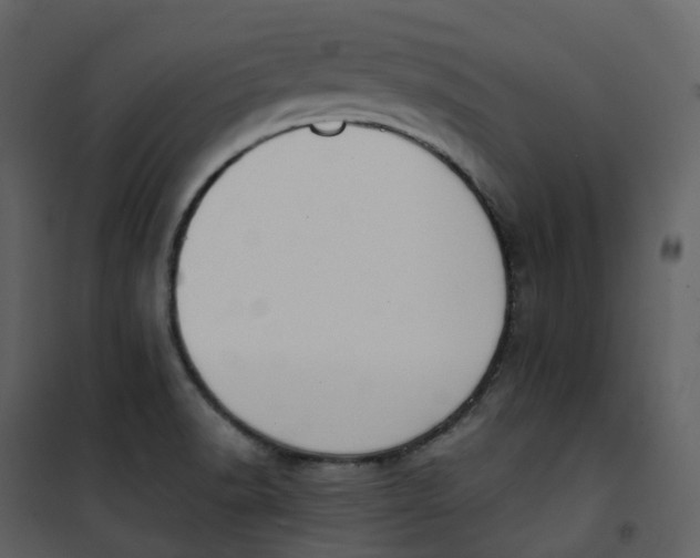 X0000101201518200807181522