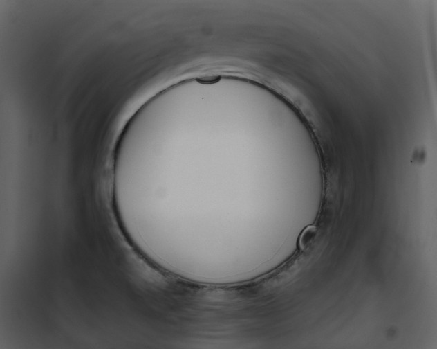 X0000101201520200807181522