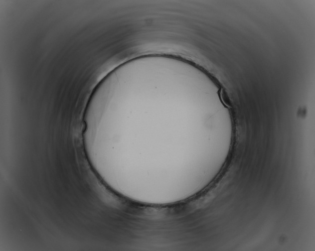 X0000101201521200807181522