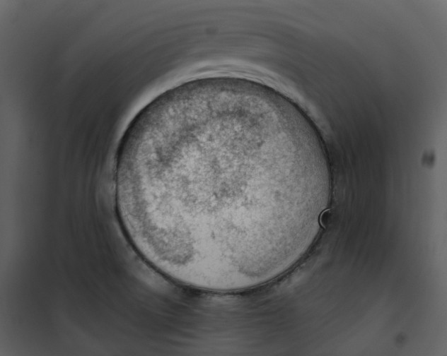 X0000101201522200807181522