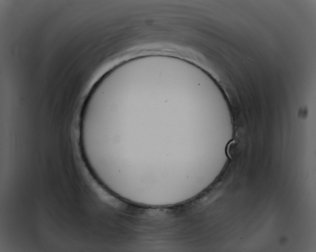 X0000101201523200807181522