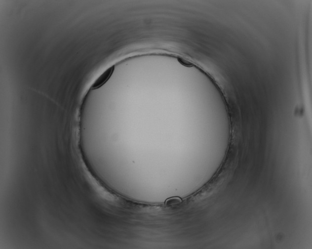 X0000101201524200807181522