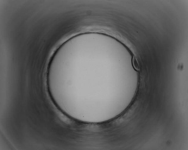 X0000101201525200807181522