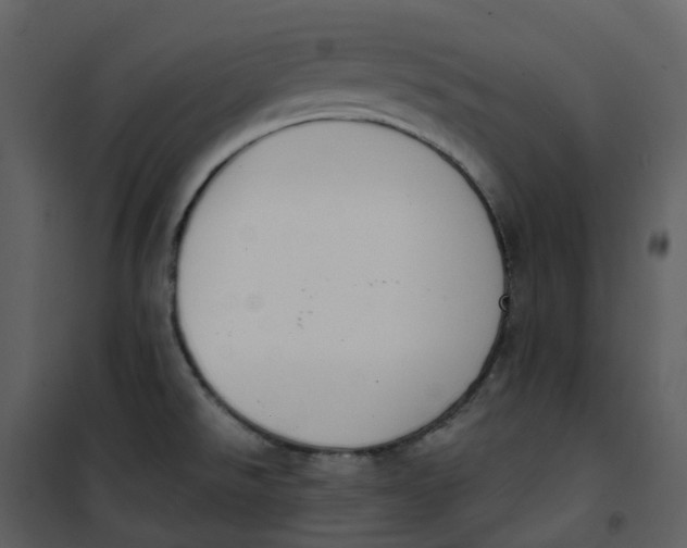 X0000101201526200807181522