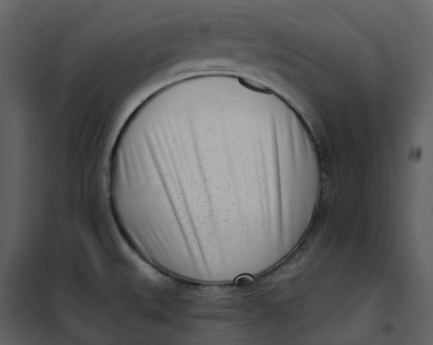 X0000101201527200807181522