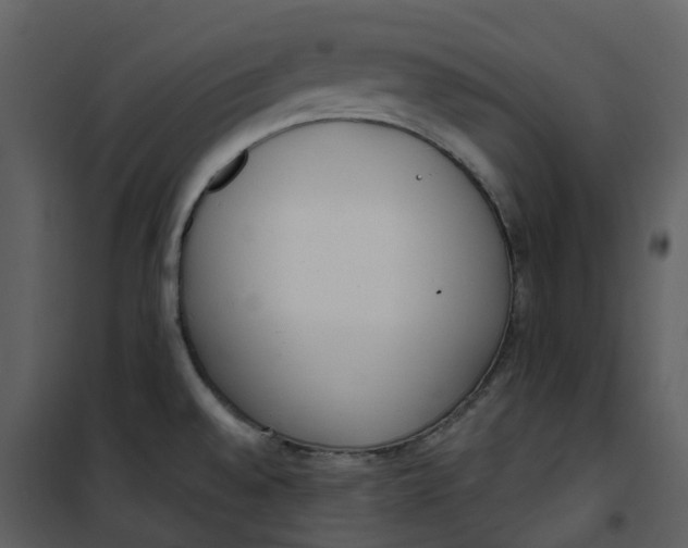 X0000101201528200807181522