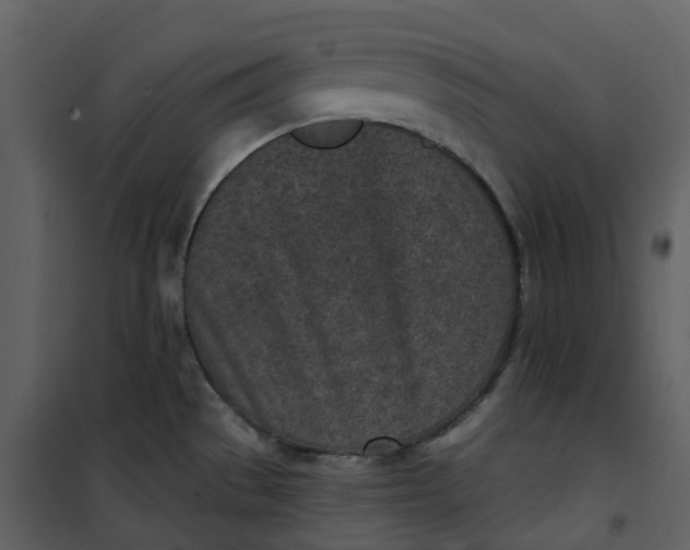 X0000101201529200807181522