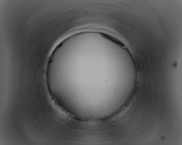 X0000101201530200807181523