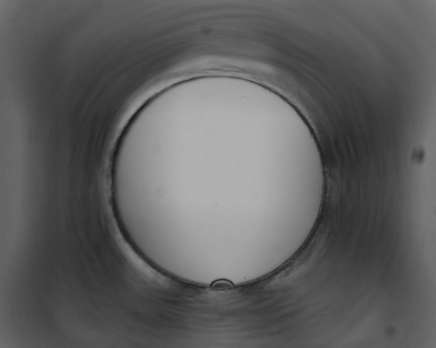 X0000101201531200807181523